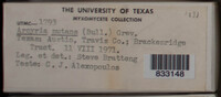 Image Associated With the Occurence